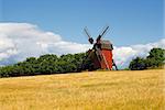 Windmill in summer light.