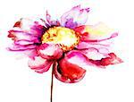 Colorful red flower, watercolor illustration