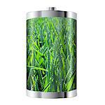 Battery cell containing field of green wheat
