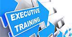 Executive Training. Blue Arrow with "Executive Training" Slogan on a Grey Background.