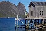 Old deteriorated fishing port by the fjord on Lofoten islands in Norway