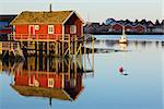 Traditional red rorbu hut with sod roof in town of Reine on Lofoten islands in Norway during polar day