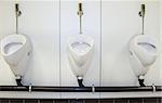 While urinals are generally intended for use by males, it is also possible for females to use them. The different types of male urinal, for single users or trough designs for multiple users, are intended to be utilized from a standing position
