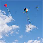 Kites flying in the sky fun and exciting for children