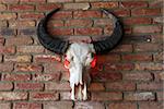 A decorative animal skull with horns and red eyes