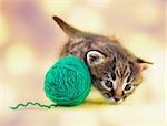 Little kitten playing with a lball . Studio shot.