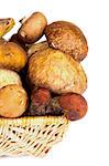 Wicker Basket with Fresh Ripe Portabello Mushrooms, Orange-Cap Boletus  and Peppery Bolete closeup on white background