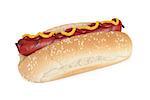 a hot dog on white background