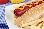 a hot dog with fries on white plate