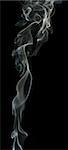 Smoke on black background. Swirls and art