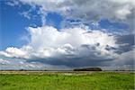 dramatic storm clouds over green plain meadow