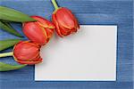 tulip with blank paper note with space for text