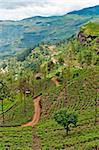 The Central Province - the central mountainous terrain of Sri Lanka.