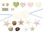 Collection of old labels and starfishes for scrapbooking. Isolated on white background