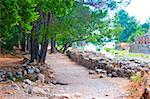 guided trail in Ancient Olympos, Turkey
