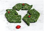 recycling symbol covered by grass and flowers with three ladybugs on it and a big one below it, all on a white and grey abstract ground