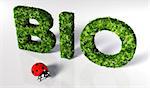 bio text covered by grass and flowers, and a small ladybug in front of it on a white ground