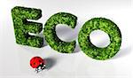 eco text covered by grass and flowers, and a small ladybug in front of it on a white ground