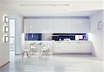 modern kitchen interior. design concept