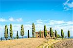 Typical house in Tuscany, Italy,  with cypresses, field and blue sky