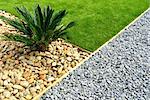 Landscaping combination of grass, plant and stones