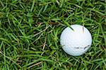 Golf ball on the green grass background