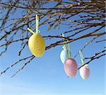 Easter eggs hanging on branches