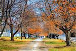 A family is walking along the alley in Shaker Village of Pleasant Hill, Kentucky