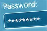 Password Field in Internet Browser on Computer Screen