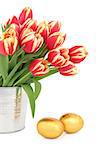 Tulip flower arrangement with easter eggs over white background.