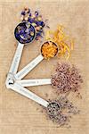 Herbal medicine with lavender, cornflower, heather and marigold dried flowers in measuring spoons also used in witch magical potions.