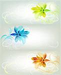 Set Of Floral Backgrounds With Design Ornate