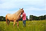 Photo bald man walks with a horse in the field