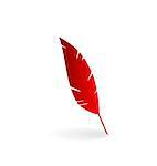 Illustration red feather isolated on white background - vector