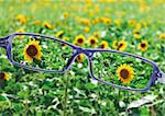 View from reading eyeglasses on beautiful nature view, healthy eyesight concept