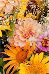 beautiful colorful collection of flowers spring summer celebration card macro