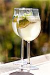 hugo prosecco elderflower soda ice summer drink outdoor aperitif