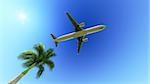 White passenger plane in the blue sky flying over the palm tree