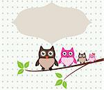 vector cute owl family card