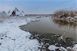 lake in winter. Location: Comana Natural Park, Romania