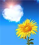 Heart from clouds and sunflower in blue sky