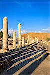 Ancient city of Beit She'an in Israel