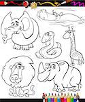 Coloring Book or Page Cartoon Illustration Set of Black and White Wild Animals Characters for Children