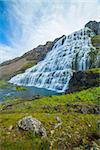 Dynjandi is the most famous and beautiful waterfall of the West Fjords in Iceland. Vertical view