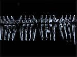 Metal Forks Lined Up In An Abstract Way