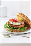 Salmon burger on a whole wheat bun with lettuce, red onion, red tomatoes, yellow tomatoes, sauce, and fresh dill on a white tabletop in a high key setting