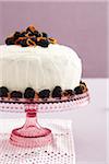 Sponge Cake with Blackberries, Studio Shot