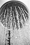 Shower head drops and streams of water. Blue toned.