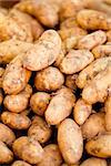 group of potatoes macro closeup market outdoor summer autumn
