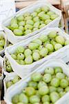 fresh tasty gooseberries macro closeup on market outdoor summer